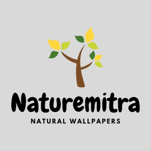 Naturemitra Unique Wallpapers logo