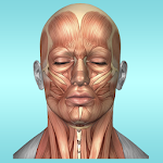 Cover Image of Descargar Guía de referencia de anatomía muscular  APK