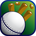 Cover Image of Download T20 League App 2018 - Live K+ 2.2.006 APK