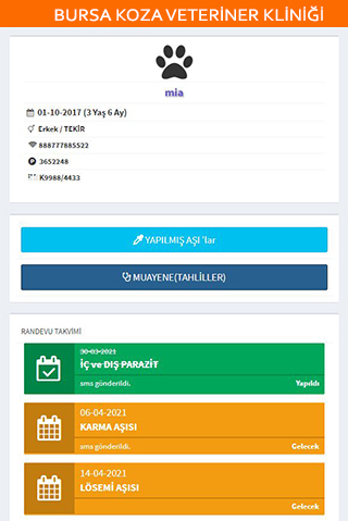 Bursa Koza Veteriner Kliniği Screen 3