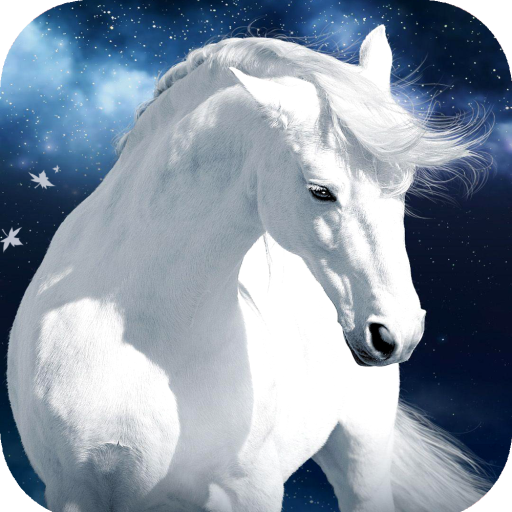 Horse Wallpaper HD  Icon