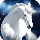 Horse Wallpaper HD icon