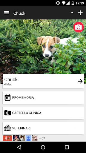 Anteprima dell'app