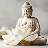 Buddha meditation music app icon