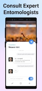 Picture Insect MOD APK: Bug Identifier (Premium Unlocked) 6