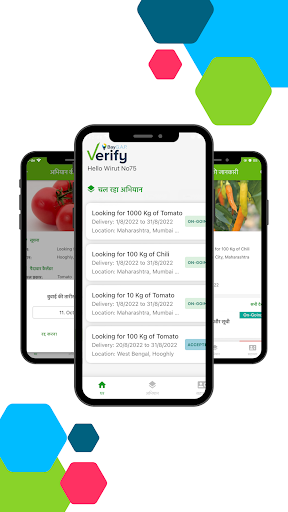BayGAP Verify Screen 3