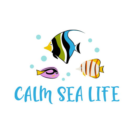 Calm Sea Life - Underwater 4K  Icon