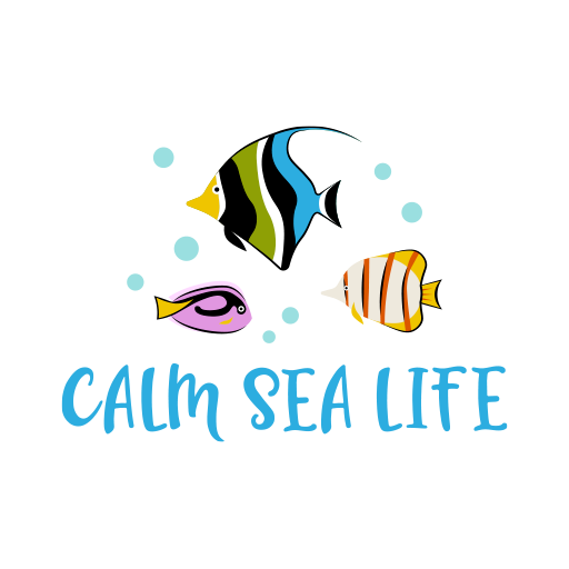 Calm Sea Life Download on Windows