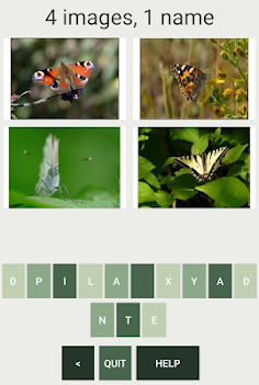 Quiz : What Butterfly Are You  - Screenshot 3