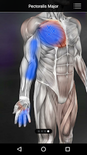 Muscle Trigger Point Anatomy Screenshot