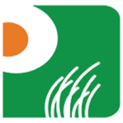 Pinnacle Swipe logo