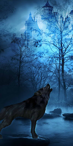 Wolf Wallpaper HD