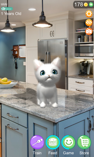 AR Cat Screen 3