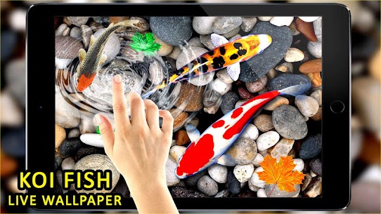 3D Koi Fish Wallpaper For Pc, Laptop In 2020 | How To Download (Windows & Mac) 1
