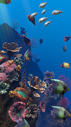 Ocean Aquariumのおすすめ画像2