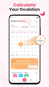 Календарь менструаций Овуляция