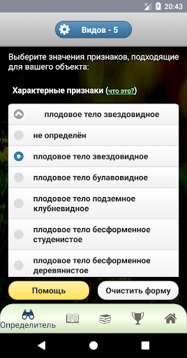 EcoGuide: Russian Mushrooms Screen 2
