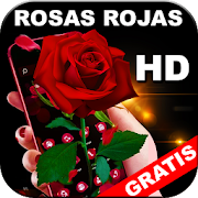 Rosas Rojas Bonitas y Naturales en HD Gratis