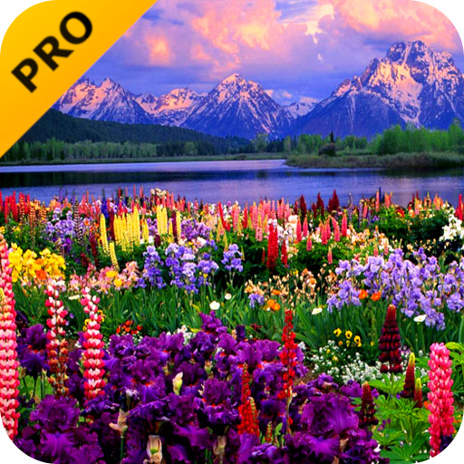 Valley of Flowers PRO logo