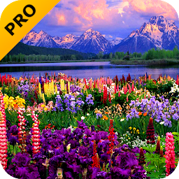 Icon image Valley of Flowers PRO
