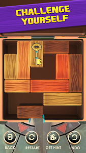 Unblock Puzzle: Slide Blocks Unknown