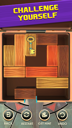 Unblock Puzzle: Slide Blocks - Screenshot 1