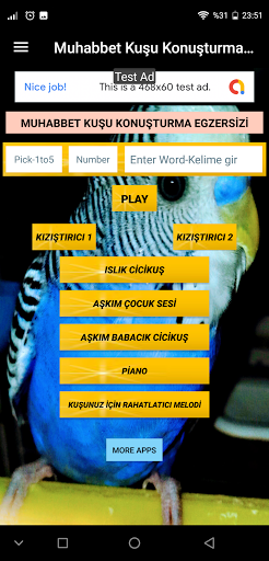 Muhabbet Kuşu Egzersizi Screen 3