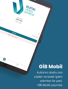 GİB Screenshot