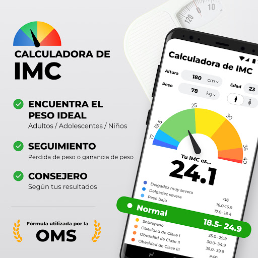 Vista previa de la aplicación