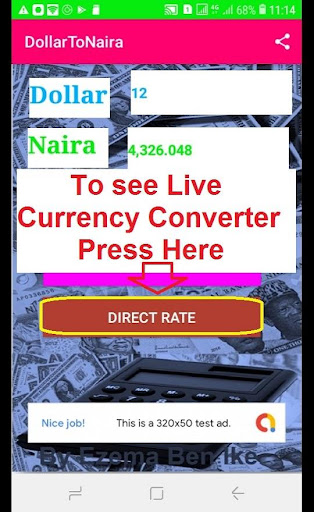 Dollar To Naira Converter Screen 2
