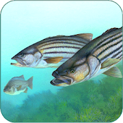 Fishing Fanatic - Fishing App with Solunar Charts