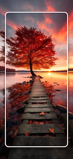 Screenshot of Autumn Wallpapers Nature 4K HD