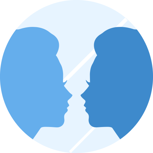 Miss Mirror, Mirror everywhere logo