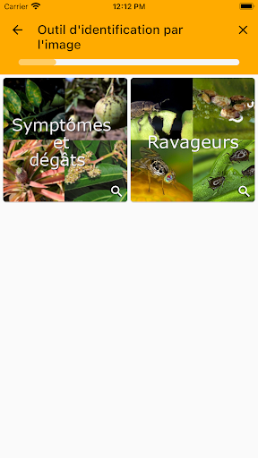 Tropifruits Screen 3