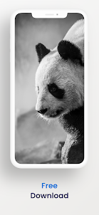 Cute panda wallpapers hd