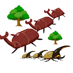 Beetle March