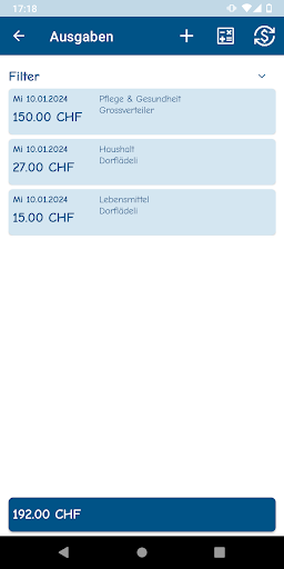 Meine Kostenübersicht Screen 2