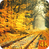 Autumn Wallpapers 4K icon