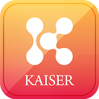 KaiserWallet2 BLE - Cold walle