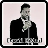David Bisbal -Me Enamoré De Ti icon