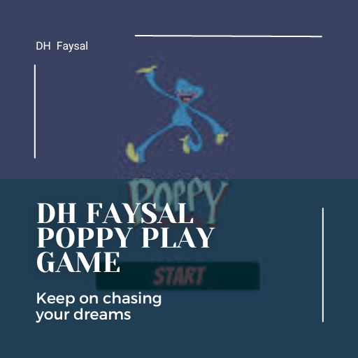 DH Faysal Poppy Play Game