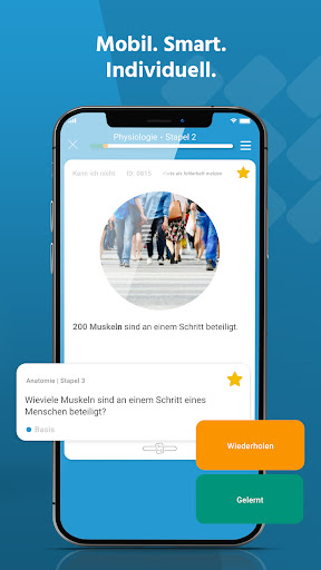 Knowledgeworker Cards Screen 3