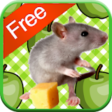 Mouse Games for Kids - Free icon