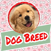 Dog Breed  Icon