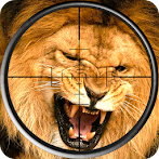 Lion Hunting Sniper Shooting