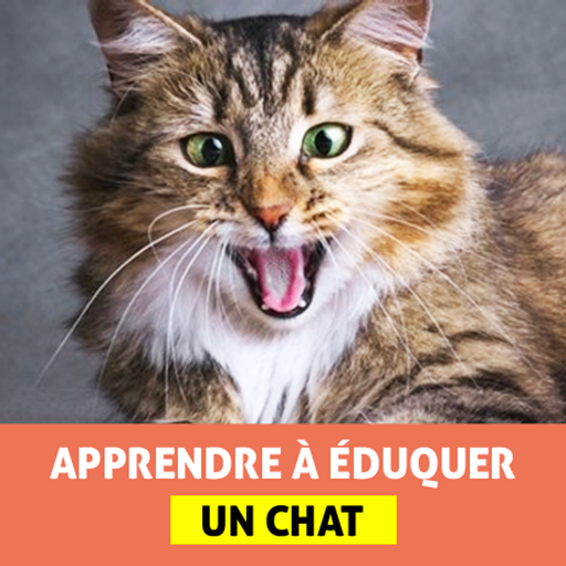Éduquer un Chat Download on Windows