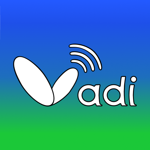 VADI 24h audio news & maps, navigation, traffic