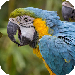 Icon image Birds Jigsaw Puzzle