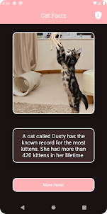 Interesting Cat Facts