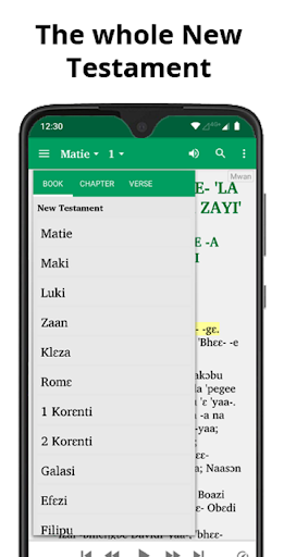 Bible in Mwan - NT with audio Screen 2